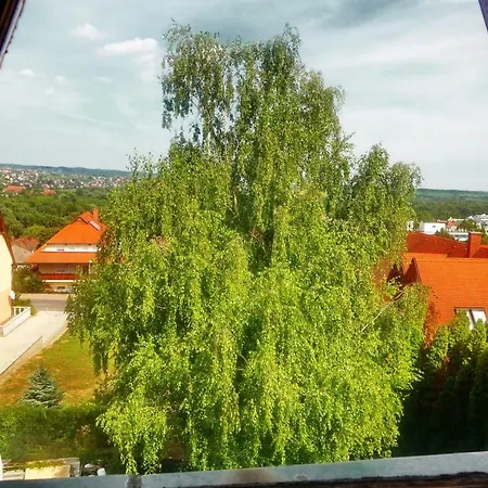Apartment Tolena Heviz